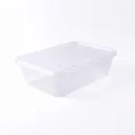 Plastic Container And Lid C650 250pcs